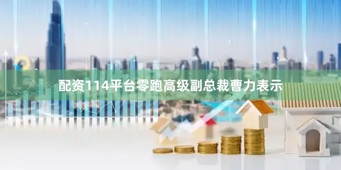 配资114平台零跑高级副总裁曹力表示